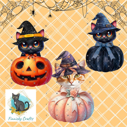 Cat in a Witch’s Hat in a Pumpkin Sublimation Design, Download, Sign, Suncatcher, Night Light, Acrylic, MDF, DTF, Earrings