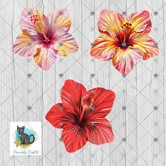 Hibiscus Flowers, Sublimation Flower - MDF or Acrylic - Night Light - Digital Design- Earrings - Signs