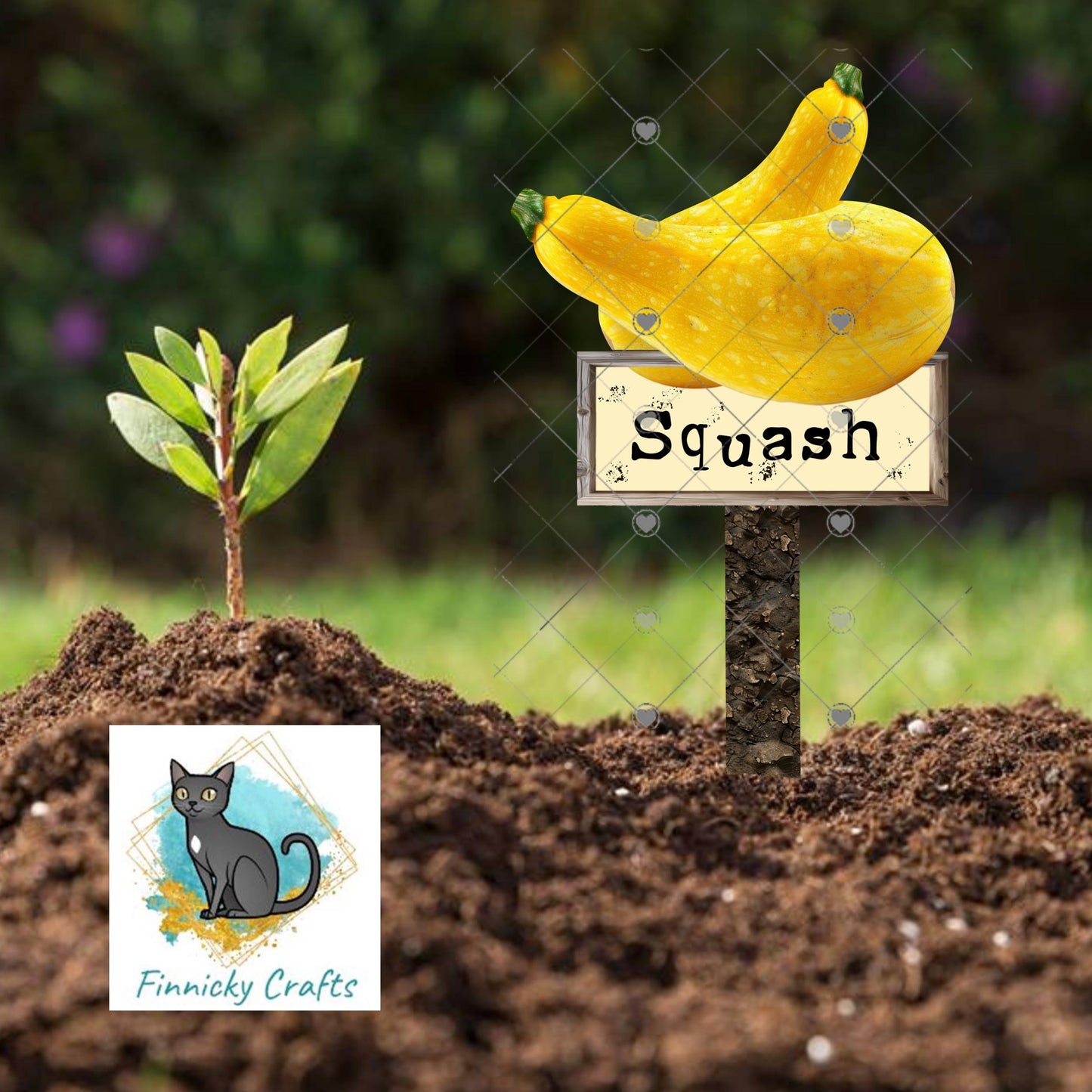 Squash/Blank - Garden Stakes Sublimation Design (Digital Design)
