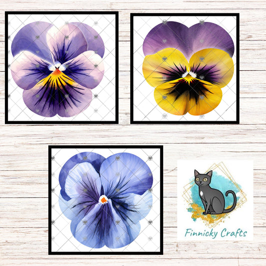 Pansy PNG Bundle for Sublimation | Floral Designs for Small Business | Spring Flower Clipart | Instant Download PNG