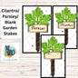 Parsley/Cilantro/Blank - Garden Stakes Sublimation Design (Digital Design)