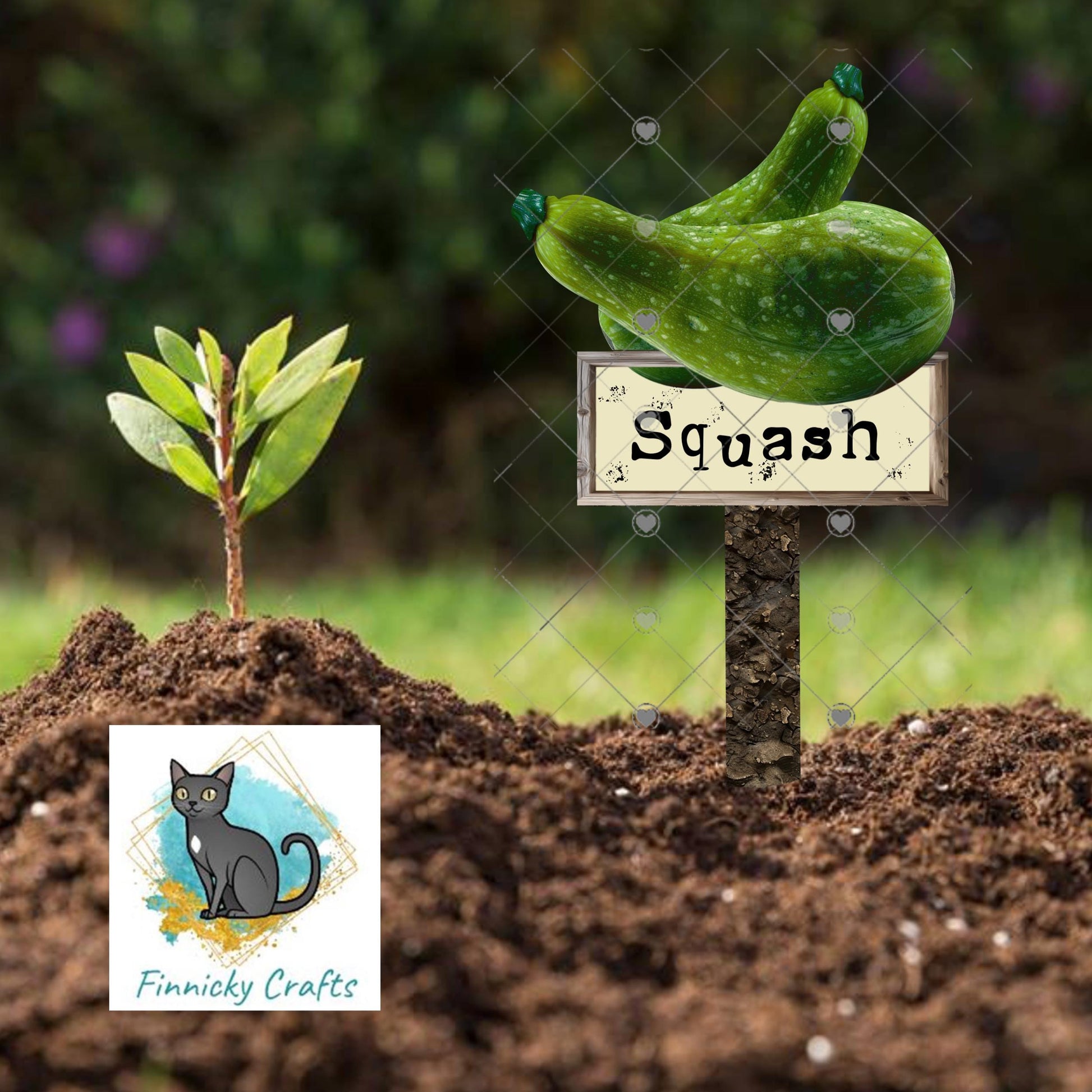 Squash/Blank - Garden Stakes Sublimation Design (Digital Design)