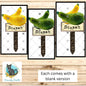 Squash/Blank - Garden Stakes Sublimation Design (Digital Design)