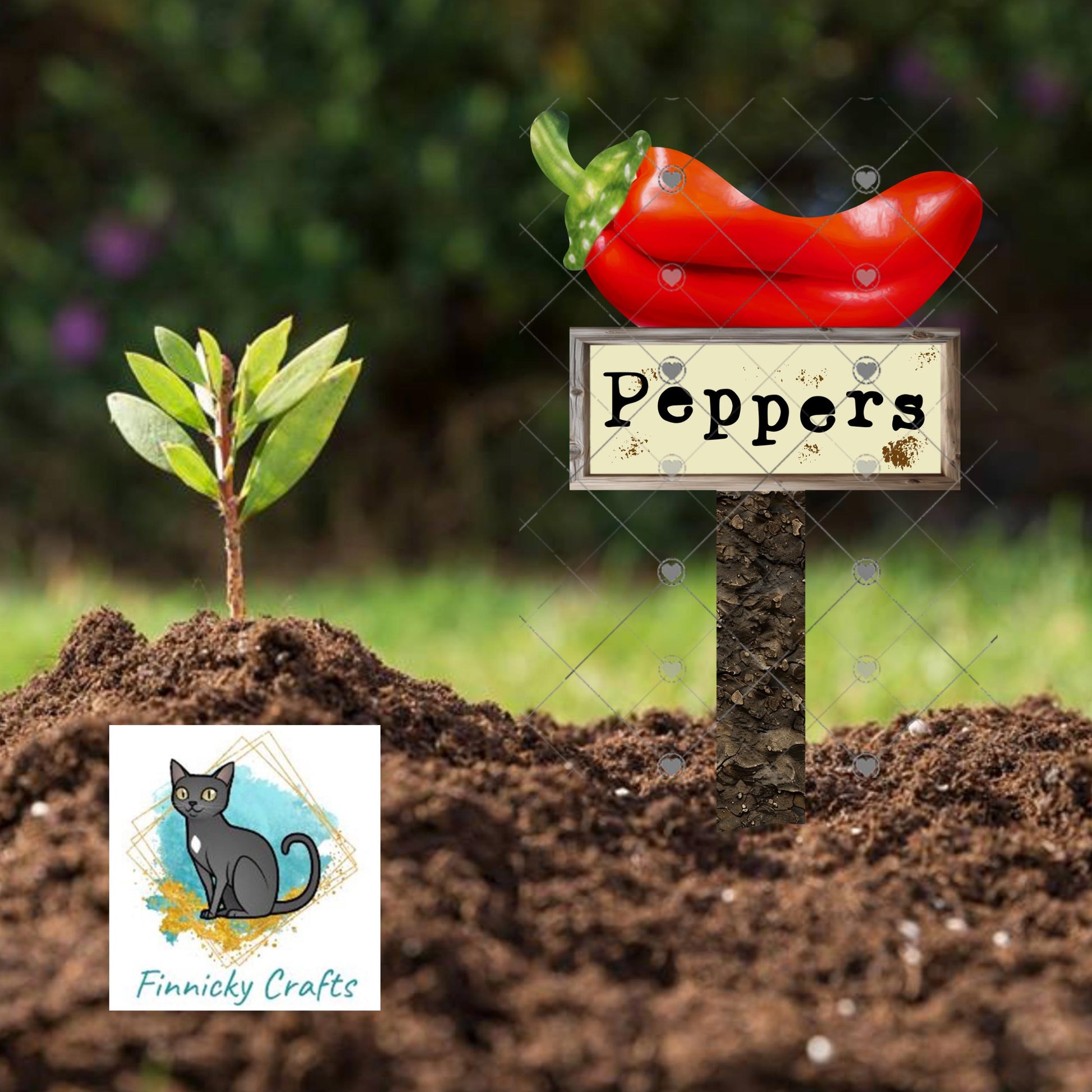 Red, Yellow, Green Chili Peppers/Blank - Garden Stakes Sublimation Design (Digital Design)