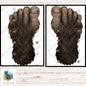 Bigfoot Footprint PNG 300 DPI | Sasquatch Track Sublimation Design | Cryptid Digital Download | Yeti Foot (Digital Download)
